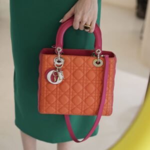 Lady Dior Bicolor